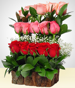 Flores a Mxico Cataratas de ensueo con 15 Rosas